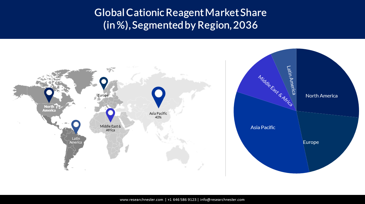 Cationic Reagent Market Size